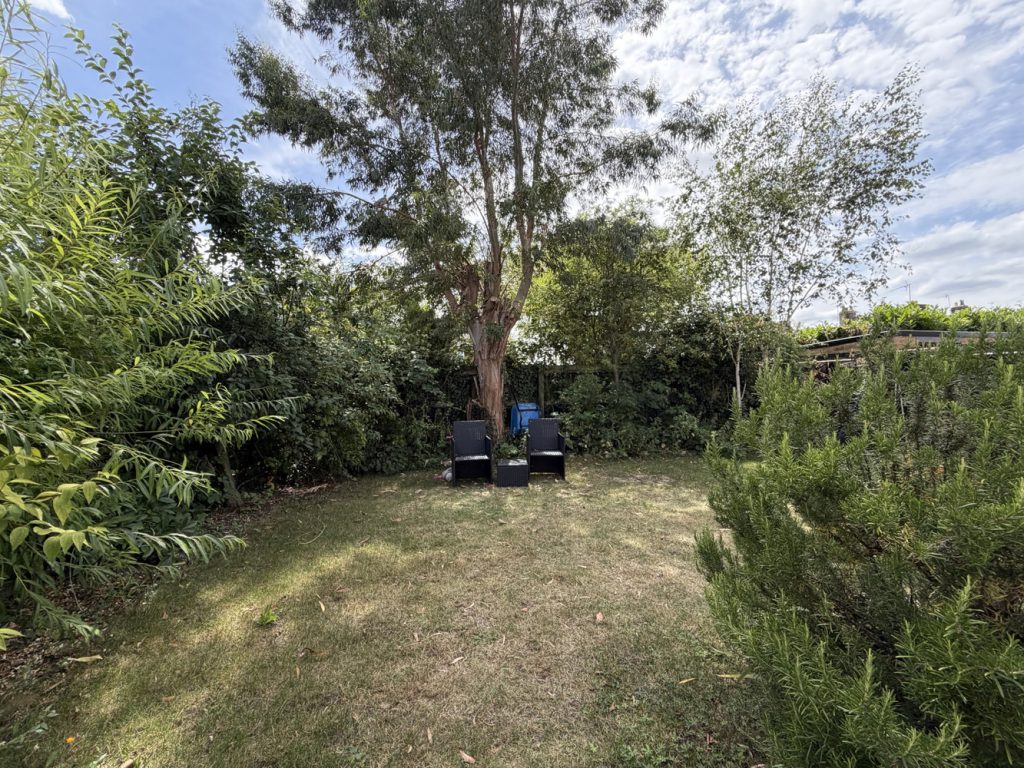 Garden 2