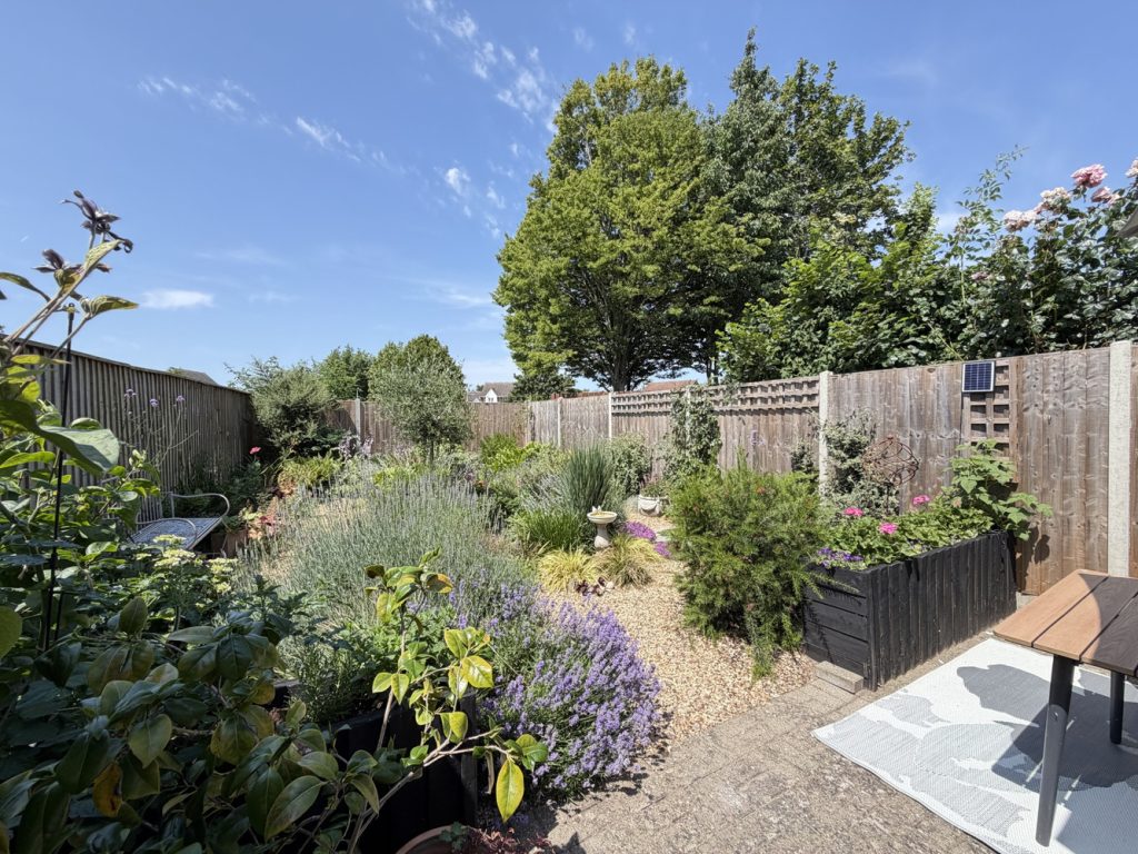 Garden 2
