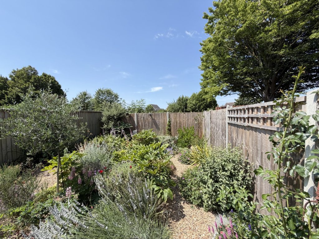 Garden 3