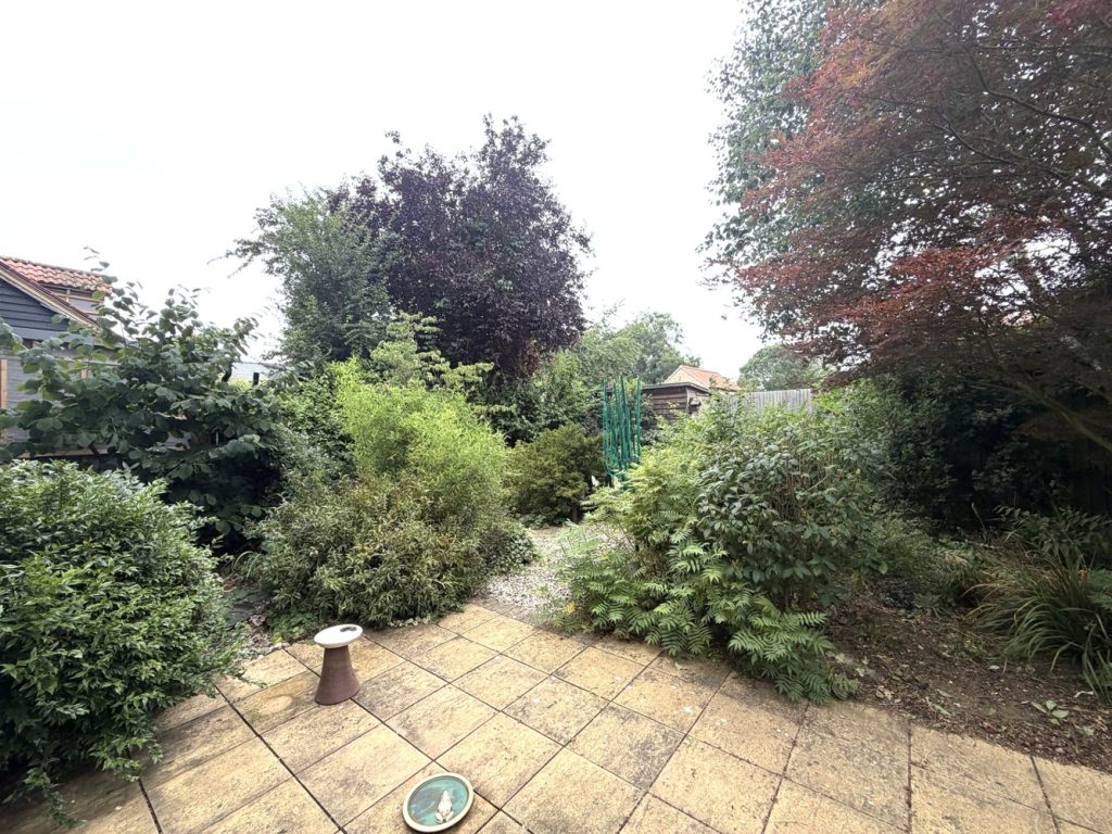 Rear 2