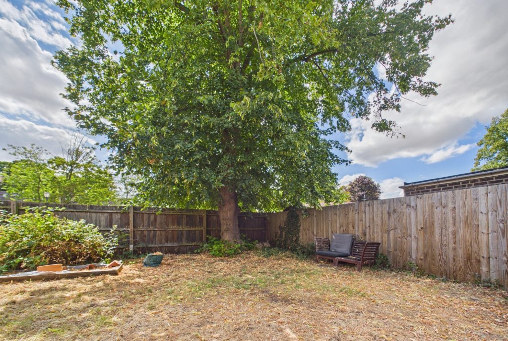 CAM03259G0-PR0331-STILL022