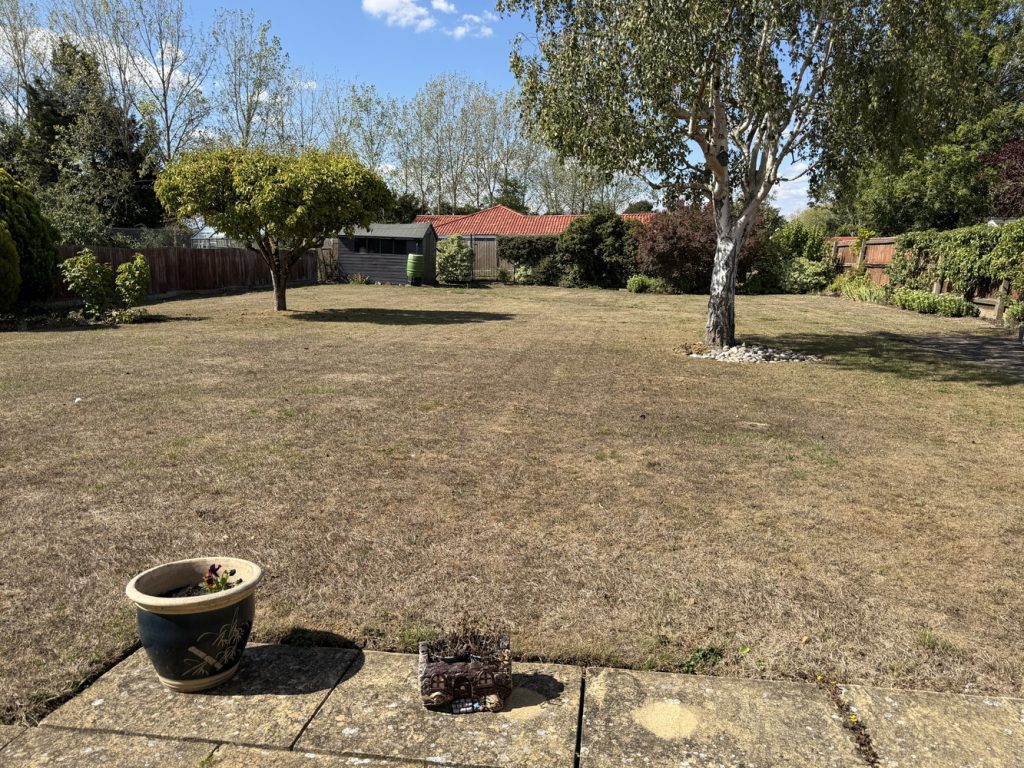 Garden 1.JPG