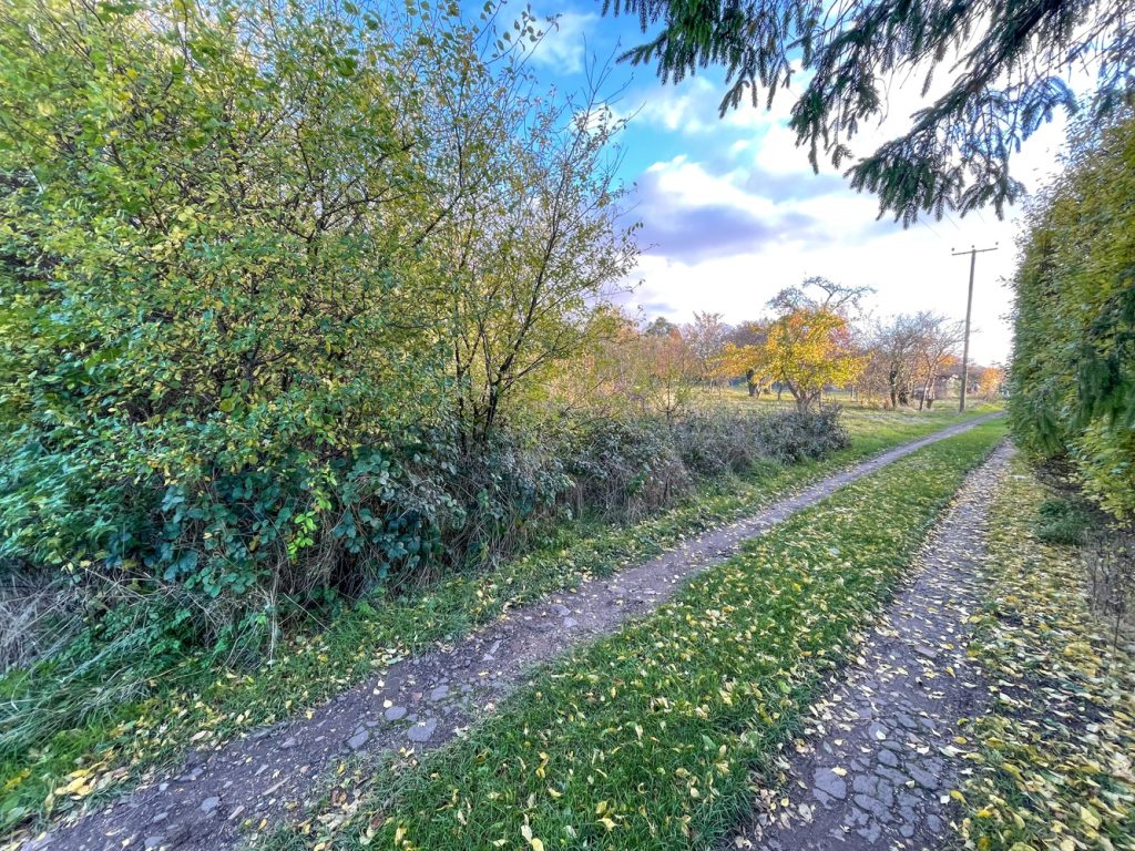 listing_420412_0002_4eb2d5aa_1500x1000.jpg