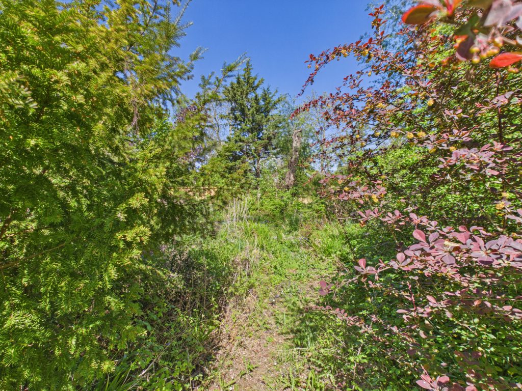 listing_715136_0068_0f780c27_1500x1000.jpg
