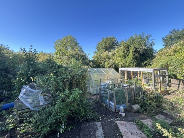 Garden 4