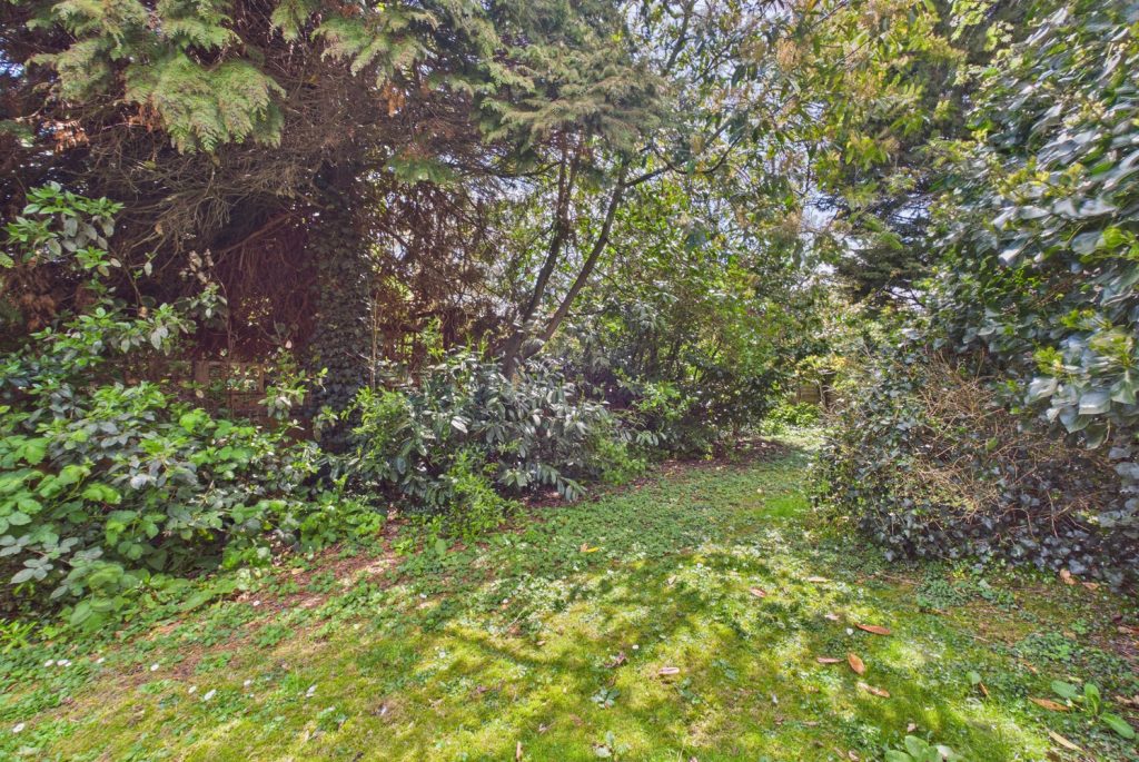 CAM03259G0-PR0278-STILL031
