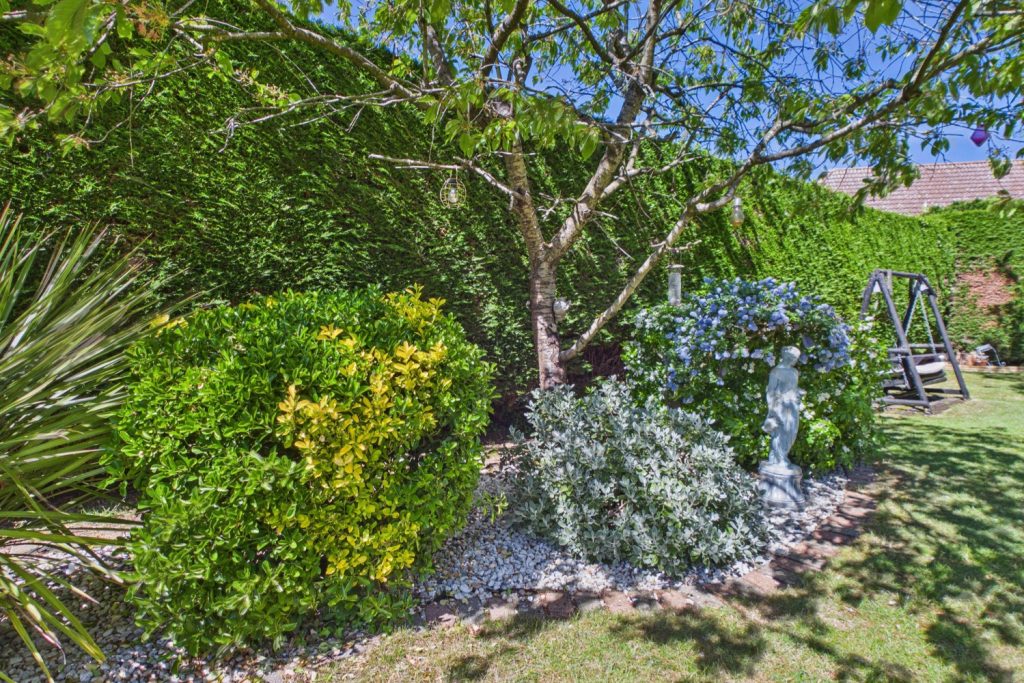 listing_989955_0010_6d83c8bd_1500x1000.jpg