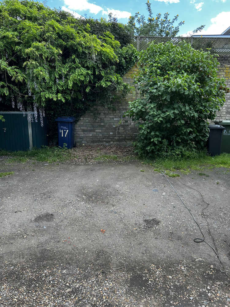 IMG_3647.jpeg